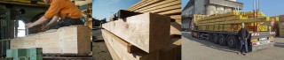 _wpframe/_wpf.img.php?wpf_pic_id=11&wpf_pic_thumbmode=1