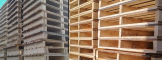 _wpframe/_wpf.img.php?wpf_pic_id=17&wpf_pic_thumbmode=1